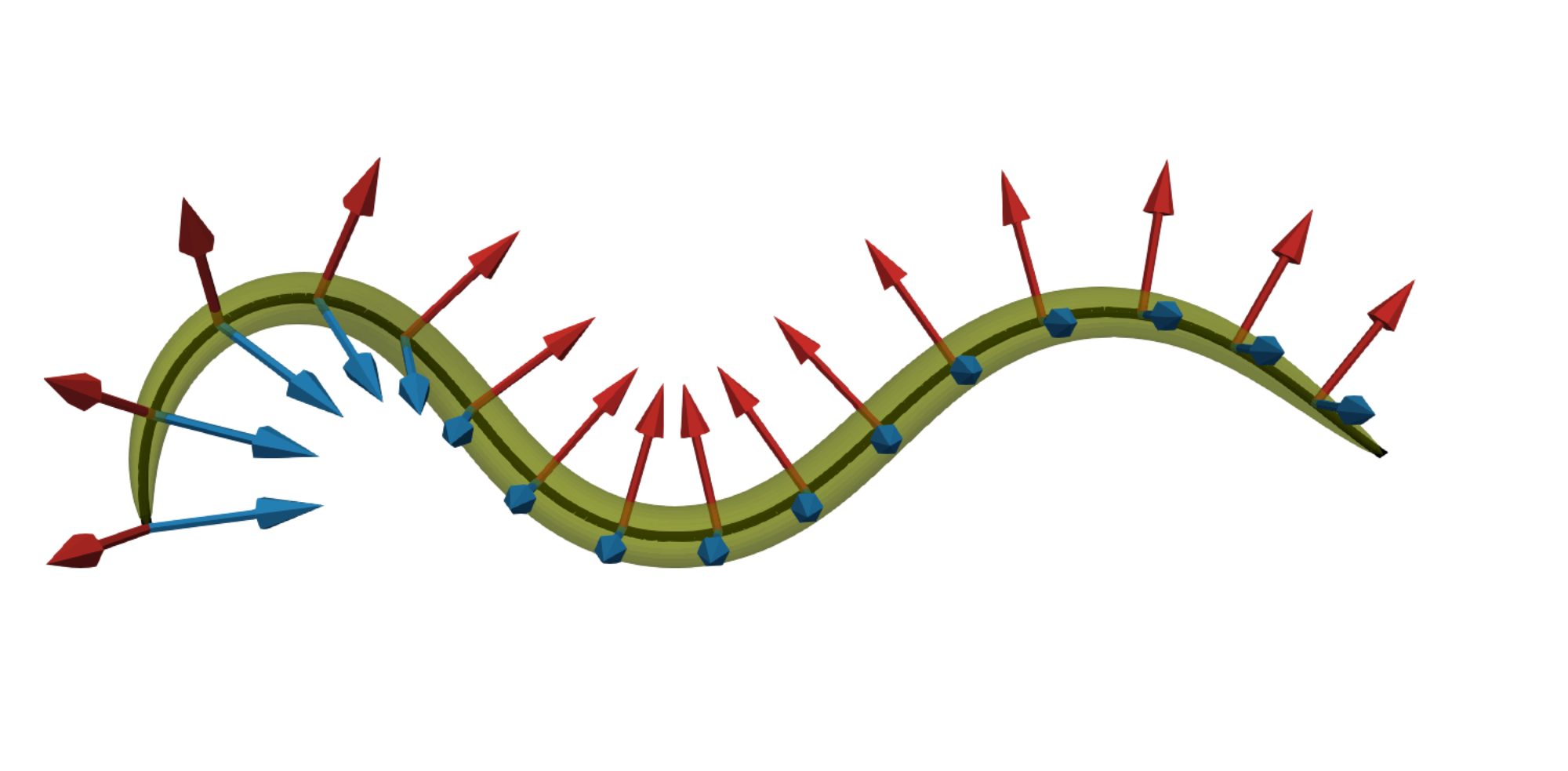 A new mathematical model of the worm in 3D which can bend and twist. Image from [Ranner (2020)](/publication/ranner-2020)